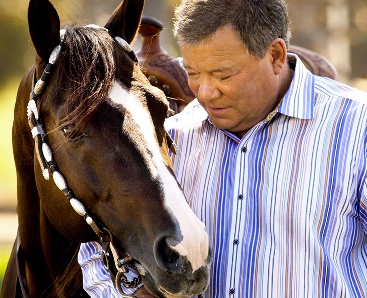 William Shatner - Horses